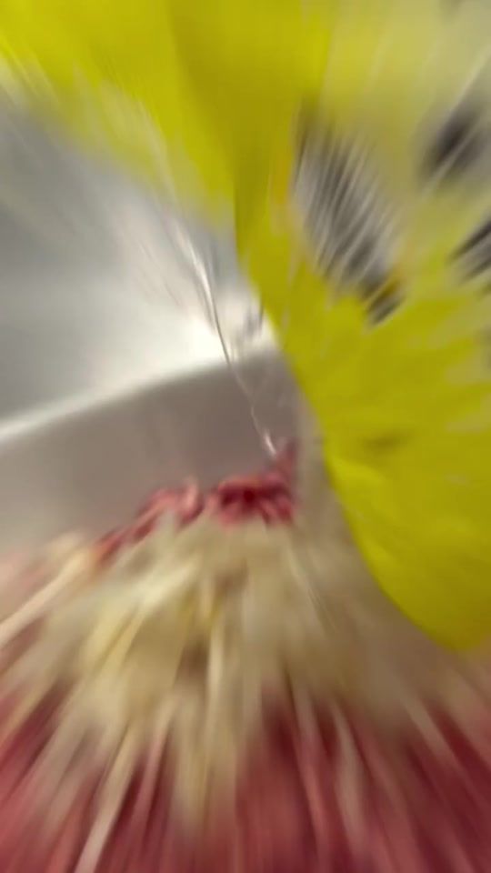 TikTok video thumbnail by kire.ie
