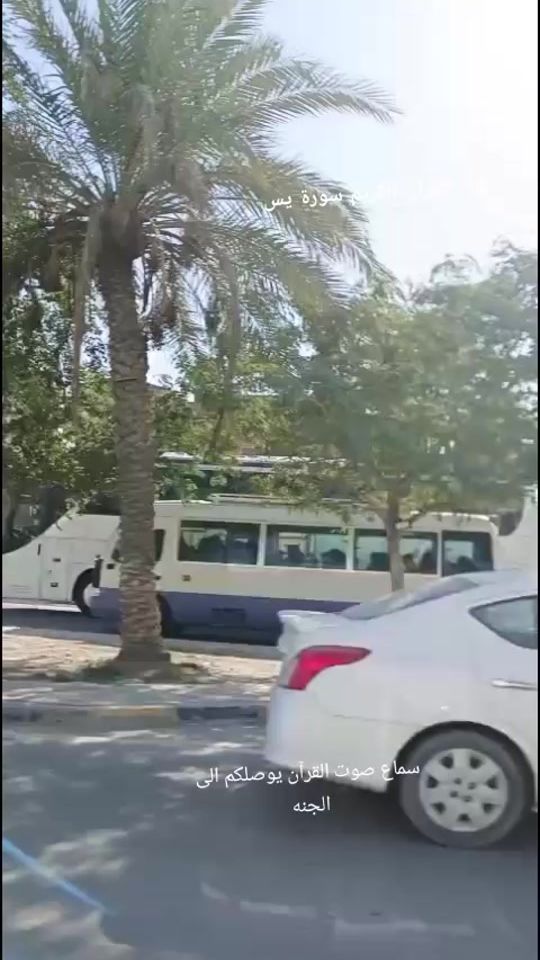 TikTok video thumbnail by r._zg