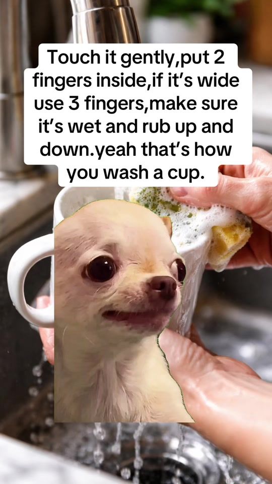 TikTok video thumbnail by benj.til