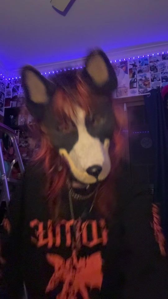 TikTok video thumbnail by .forgetfulgecko