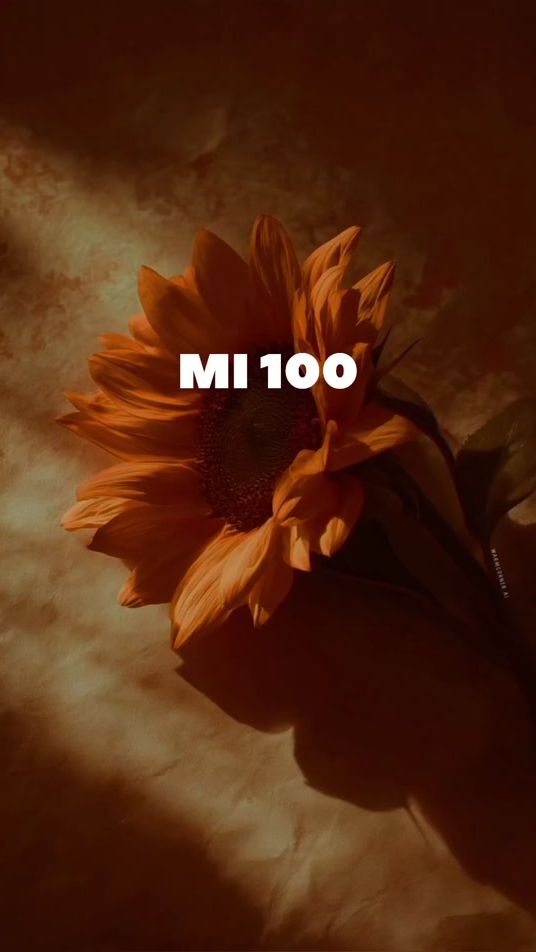 TikTok video thumbnail by 094yu.de