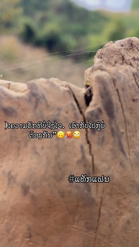 TikTok video thumbnail by _____42208
