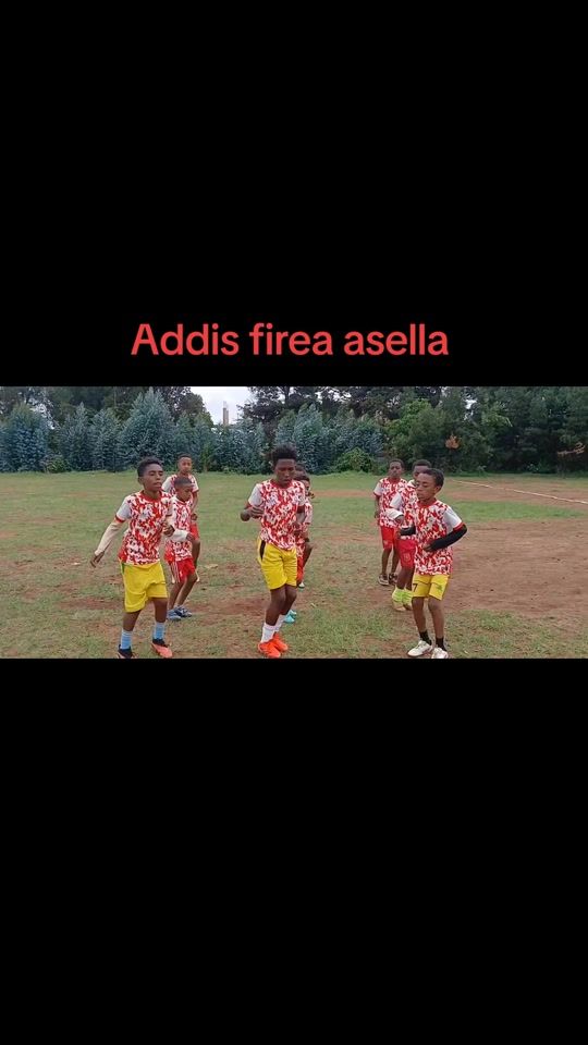 TikTok video thumbnail by addisfiref.c