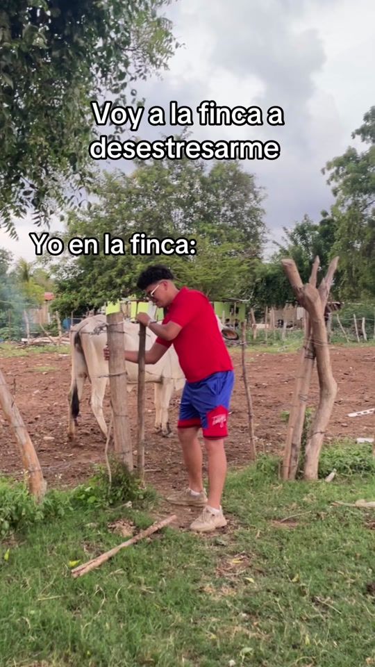 TikTok video thumbnail by soyjhonsito_32