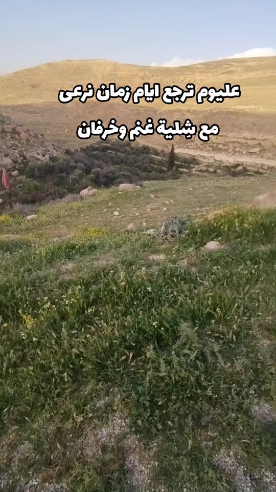 TikTok video thumbnail by alaseer69