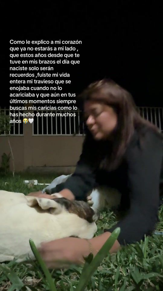 TikTok video thumbnail by aldginger.gt