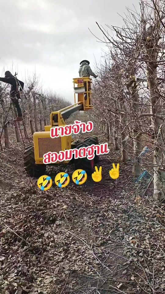 TikTok video thumbnail by ka28kal