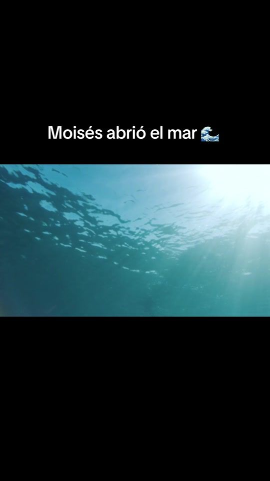 TikTok video thumbnail by soyroxy_7