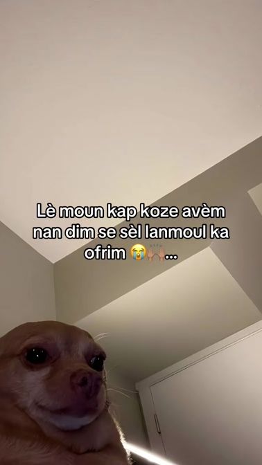 TikTok video thumbnail by einstein_44
