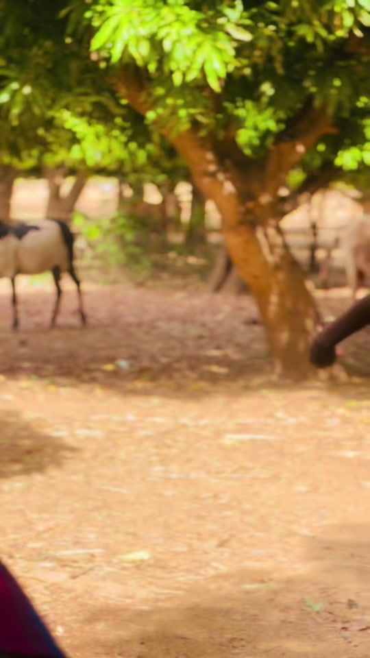 TikTok video thumbnail by moussa571017