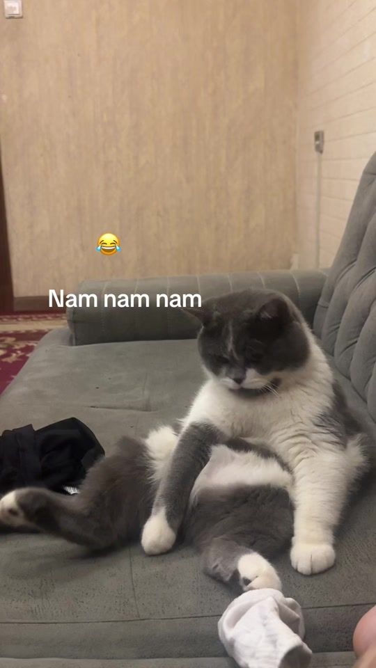 TikTok video thumbnail by _timur_aslan_