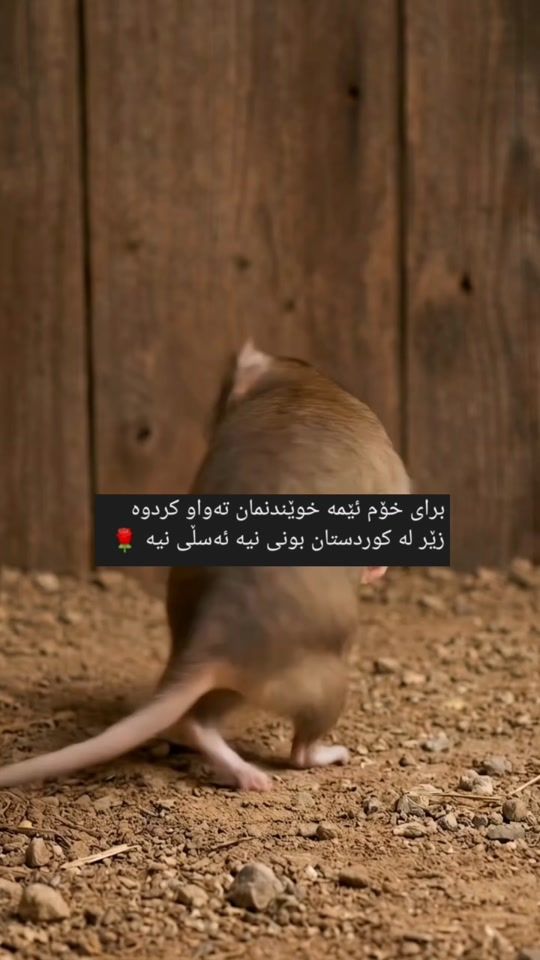 TikTok video thumbnail by c24c24