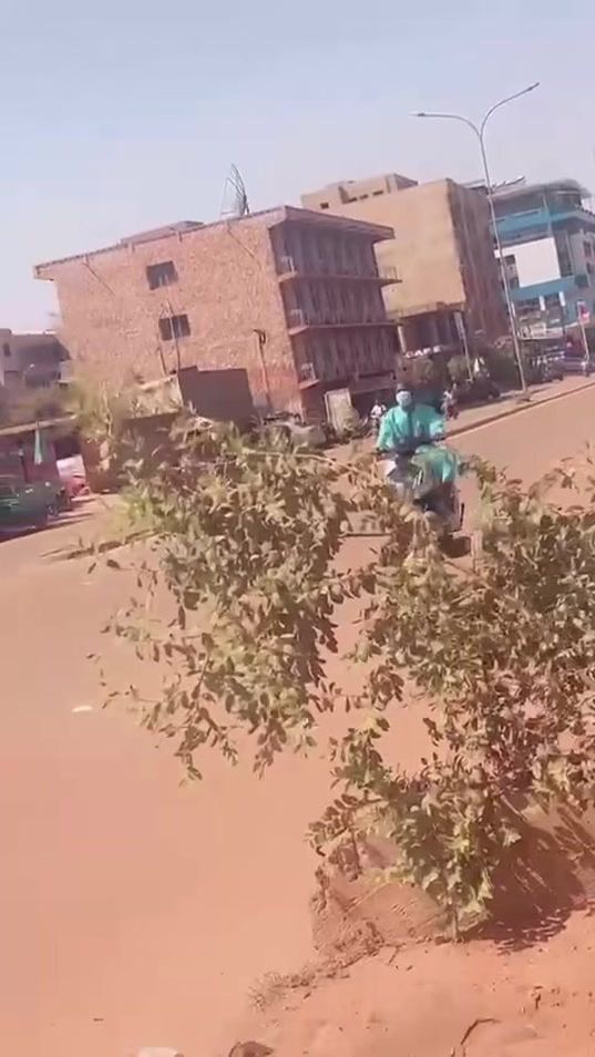 TikTok video thumbnail by tamalgo7