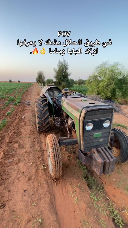 TikTok video thumbnail by snxal01