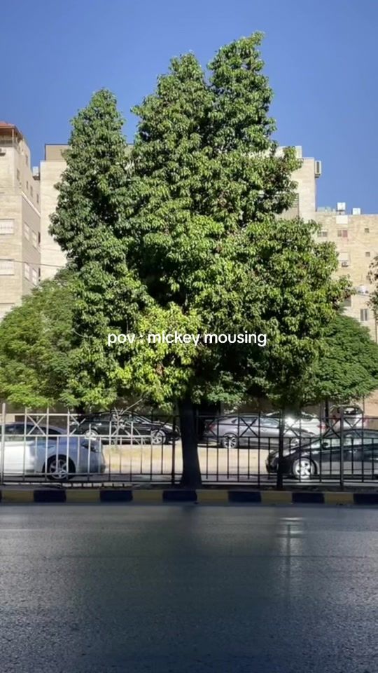 TikTok video thumbnail by jurysharif