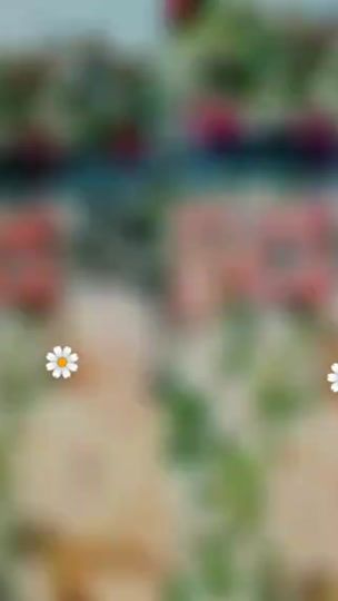 TikTok video thumbnail by nusratarapriya