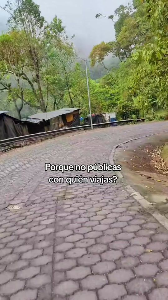 TikTok video thumbnail by lisethisague
