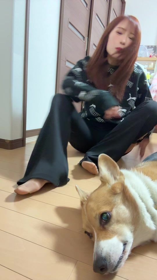 TikTok video thumbnail by haru.kun2.5