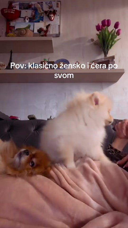 TikTok video thumbnail by itartinaaa