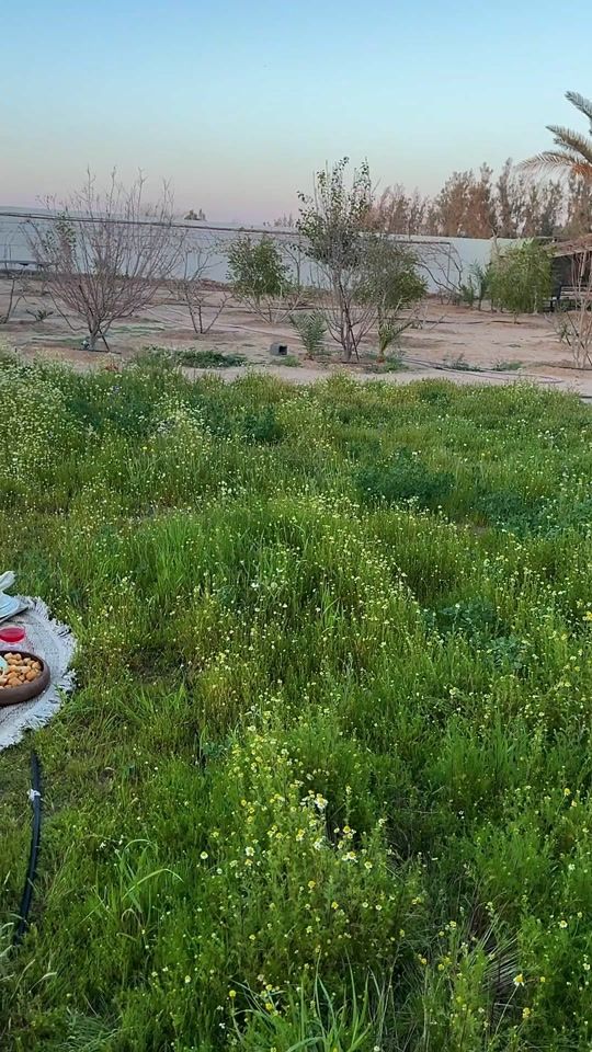 TikTok video thumbnail by f20kf