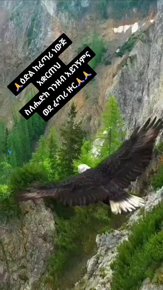 TikTok video thumbnail by jhhg3535