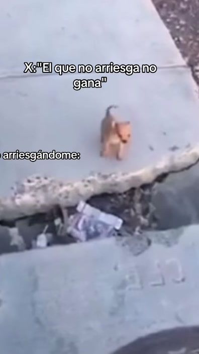 TikTok video thumbnail by ximelux__
