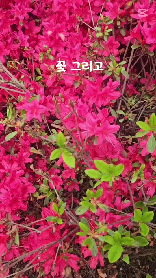 TikTok video thumbnail by ostarkorea1