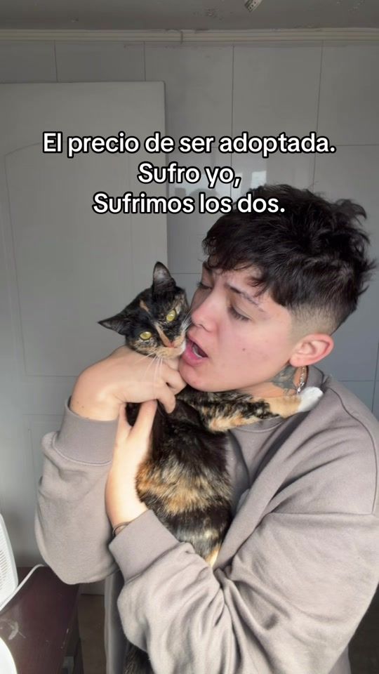 TikTok video thumbnail by capher.lmnd