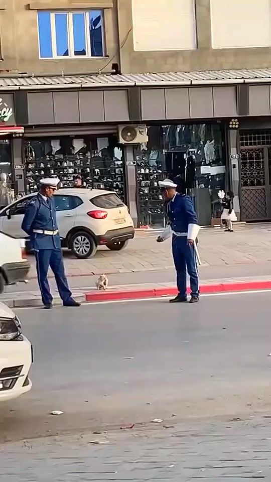 TikTok video thumbnail by che_____rif