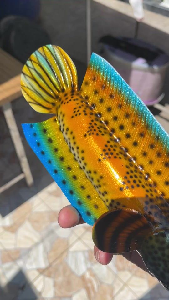 TikTok video thumbnail by sunfrog234