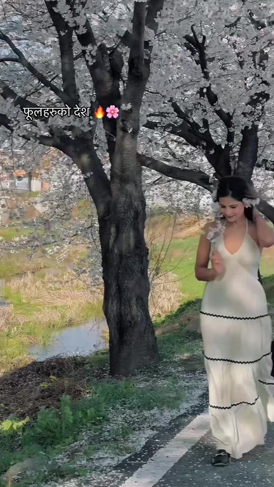 TikTok video thumbnail by susmita_swarnim