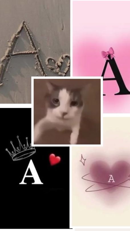 TikTok video thumbnail by luna.libr3