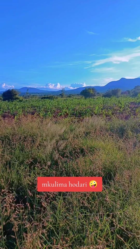 TikTok video thumbnail by mamataisha