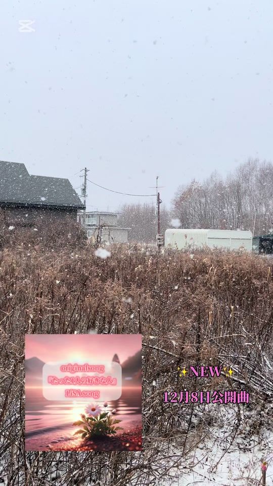TikTok video thumbnail by lisastory0214