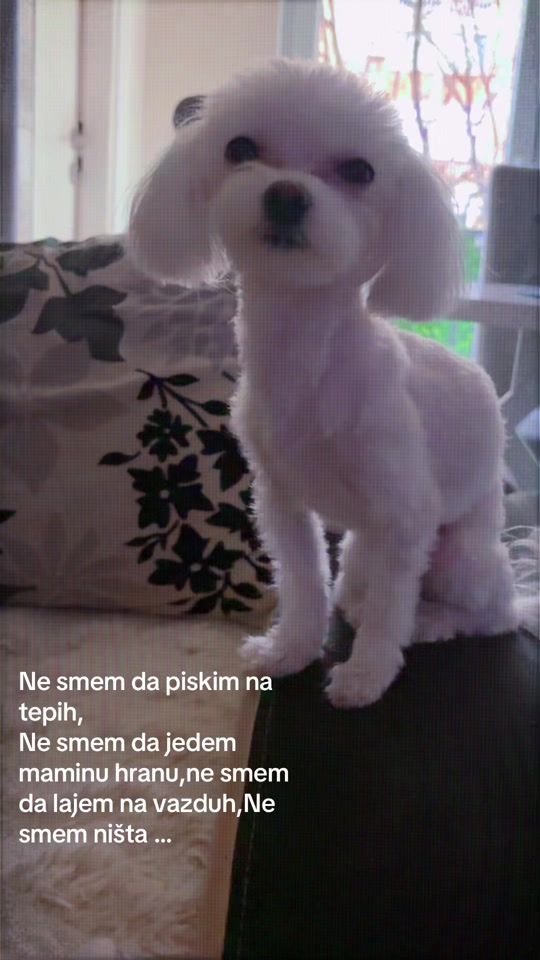 TikTok video thumbnail by marija_tedy