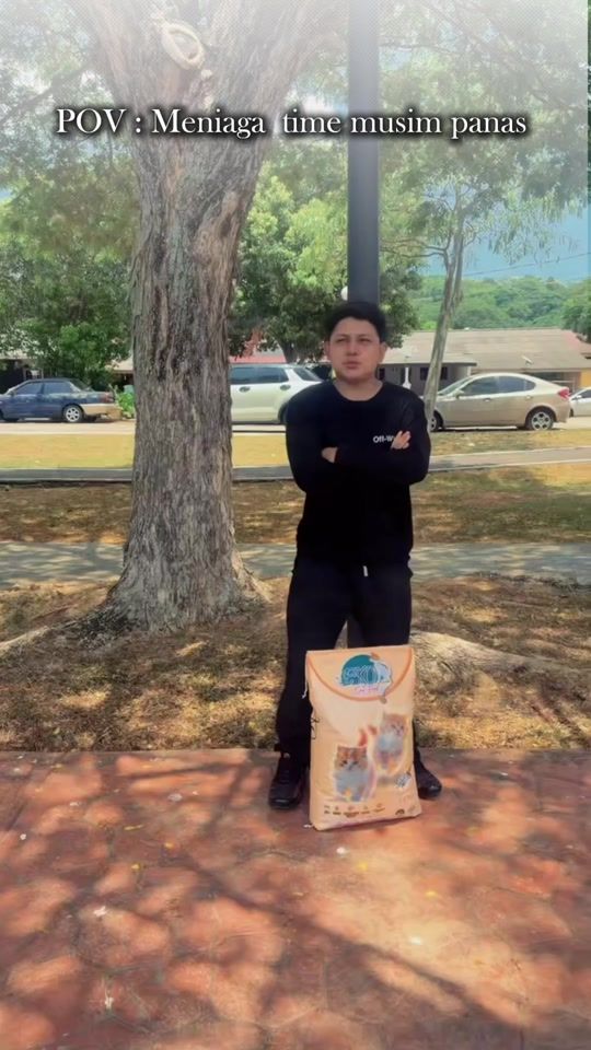 TikTok video thumbnail by apluscatfood