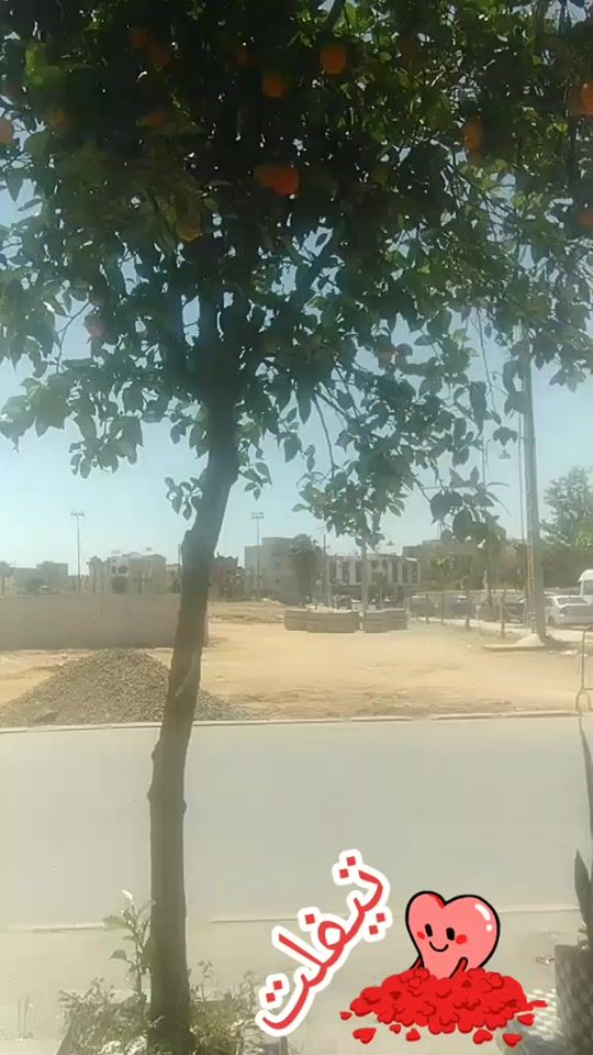 TikTok video thumbnail by user9202536244665