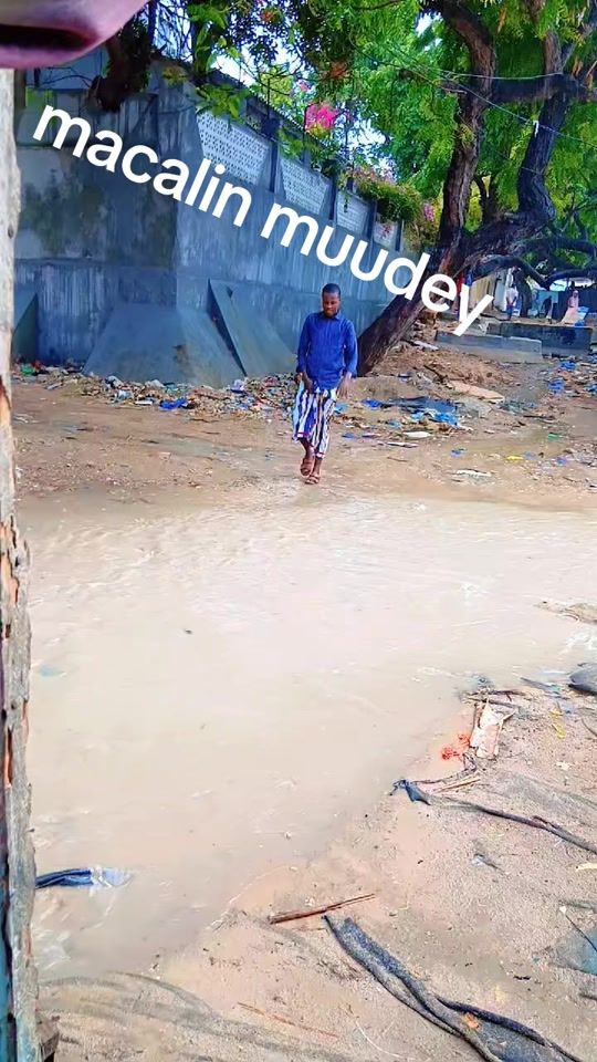 TikTok video thumbnail by macalinabdi02