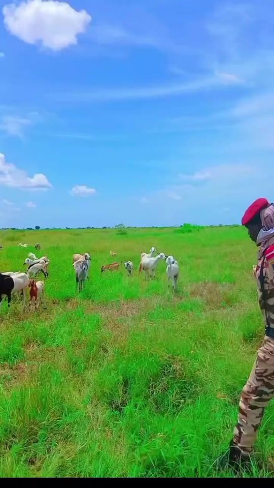 TikTok video thumbnail by __com__batio__