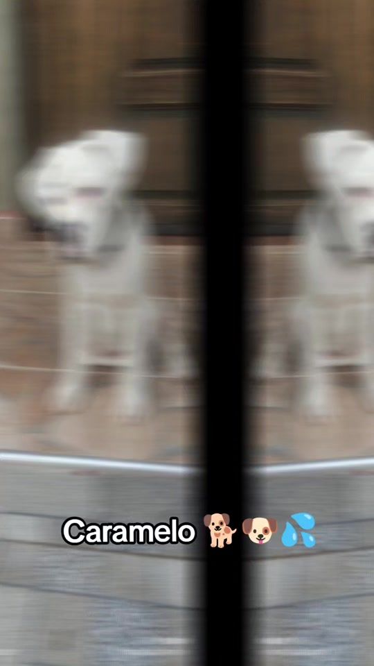 TikTok video thumbnail by pupy402