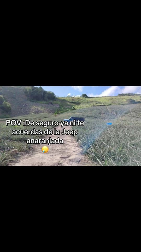 TikTok video thumbnail by elilaflaca5