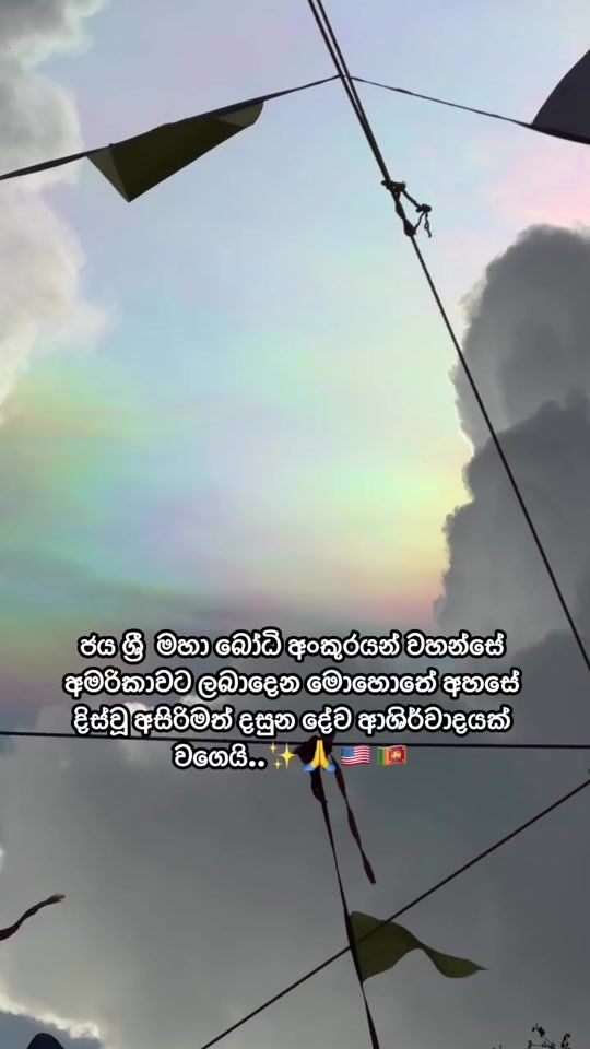 TikTok video thumbnail by jayanigamlath95