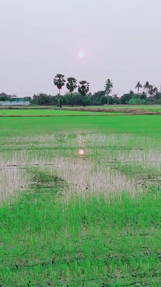 TikTok video thumbnail by pra_did29