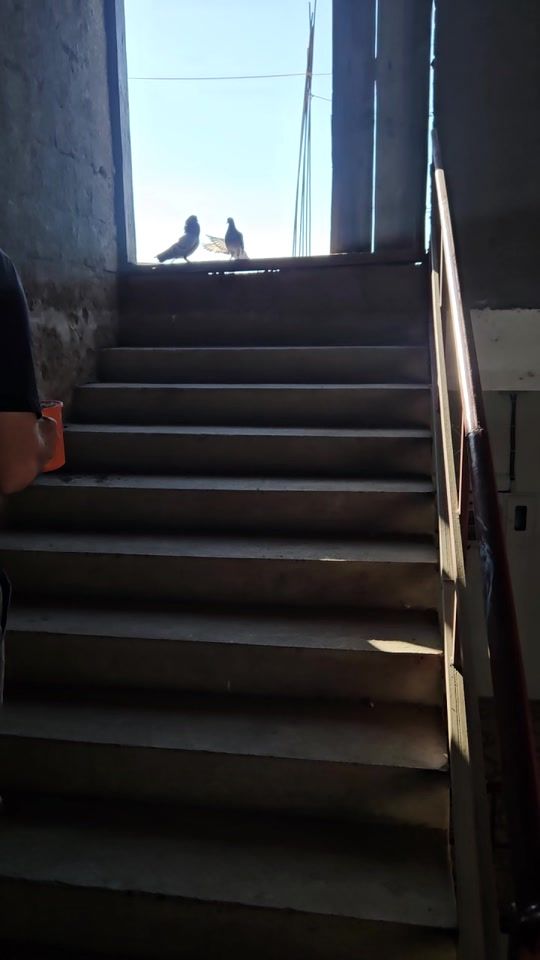 TikTok video thumbnail by abdulhameedbonjo
