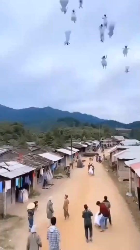 TikTok video thumbnail by 48j4d2