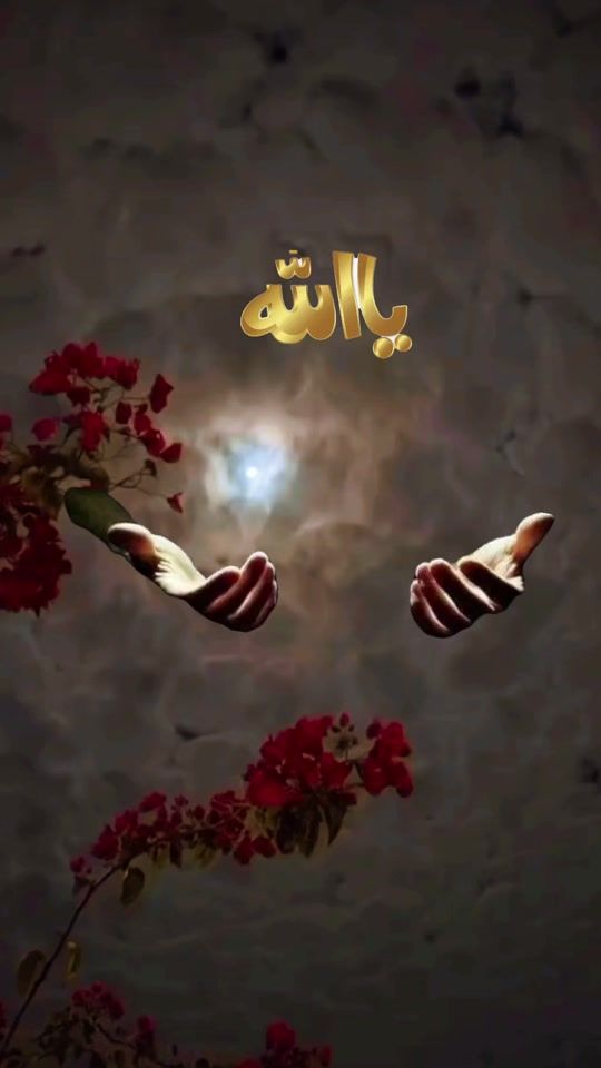 TikTok video thumbnail by hanan_123122