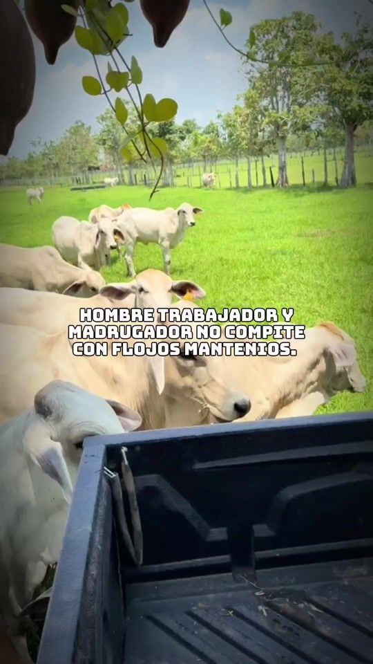 TikTok video thumbnail by edwin.producions