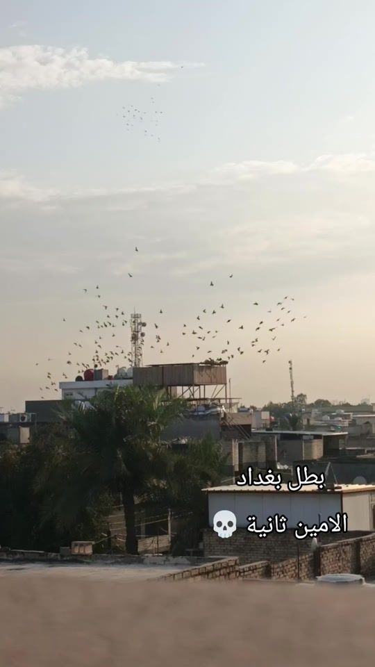 TikTok video thumbnail by nj__9n