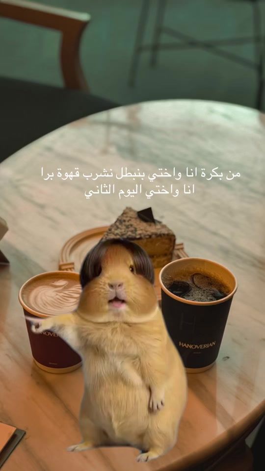 TikTok video thumbnail by sola_d27