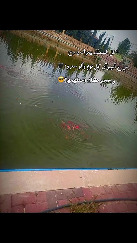 TikTok video thumbnail by mgd966